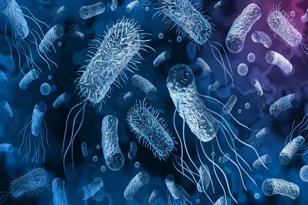 Babio يطلق Vibrio cholerae rast antigen raster kit