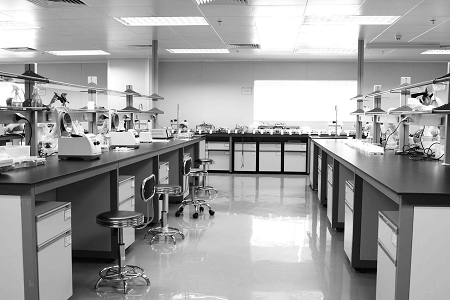 Babio Salmonella Shigella Agar: وسيلة موثوقة لسلامة الأغذية والتشخيص السريري