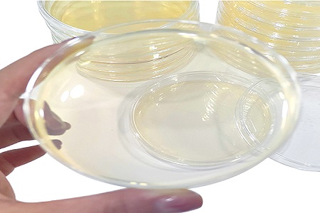 شركة BABIO تطلق وسيط R2A Agar عالي الأداء لرصد الميكروبات البيئية