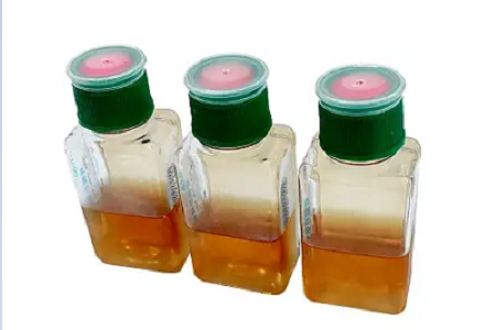 تدعم زجاجات BABIO Blood Culture الكشف بشكل أسرع وأكثر موثوقية عن التهابات مجرى الدم