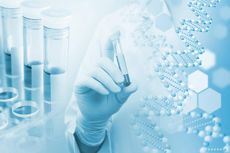 مجموعة اختبار H. pylori IgG/IgM: الحل السريع لفحص الأجسام المضادة